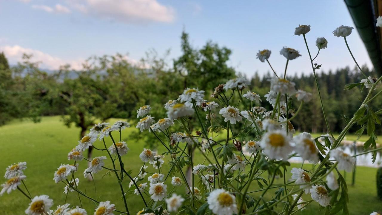Spulhof Leilighet Abtenau Eksteriør bilde